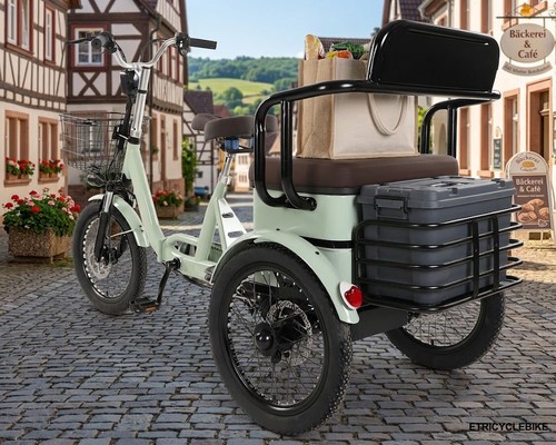Electric tricycle for - electric,