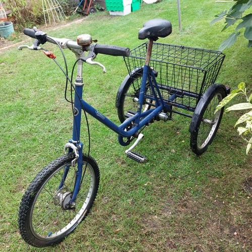 Pashley adult tricycle blue - pashley,