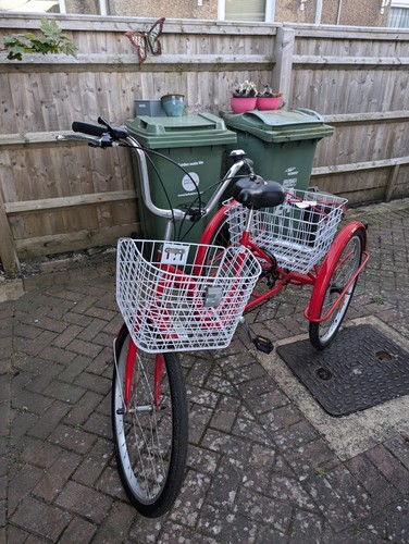 Jorvik adult tricycle - adult,