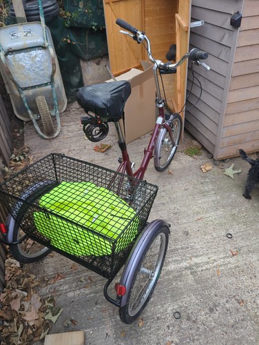 Pashley tri folding - pashley,