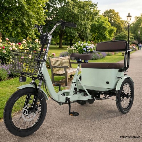 Electric tricycle for adults - tricycle,