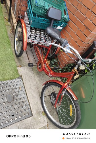 Adult tricycle wheel trike - tricycle,