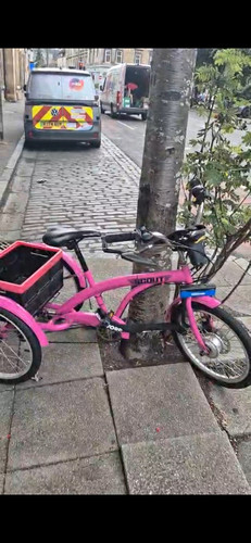 Scoot pink adult - pink,