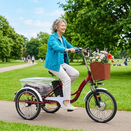 Electric trike for adults - for,