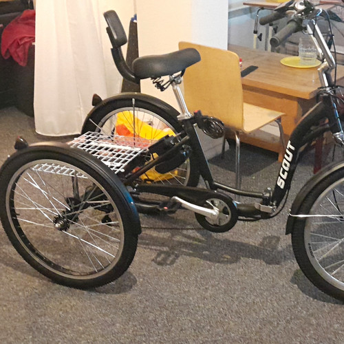 Scout unisex kids tricycle - scout,