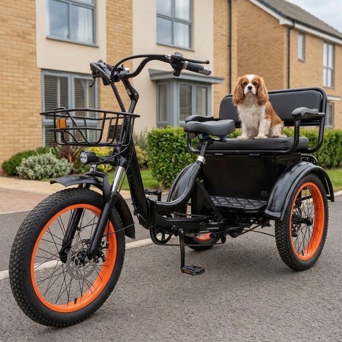 Electric tricycle adult - tricycle,