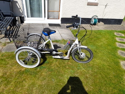 Adult tricycle bike used - adult,