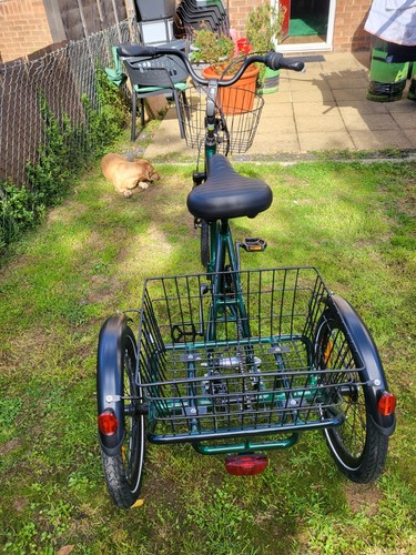 Tricycle bicycle - tricycle,