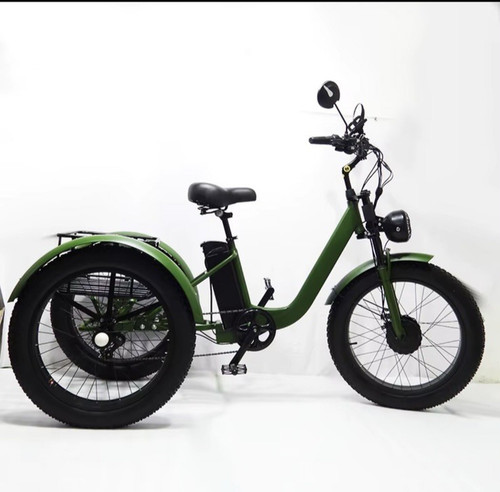 Adult pedal assist - adult, put