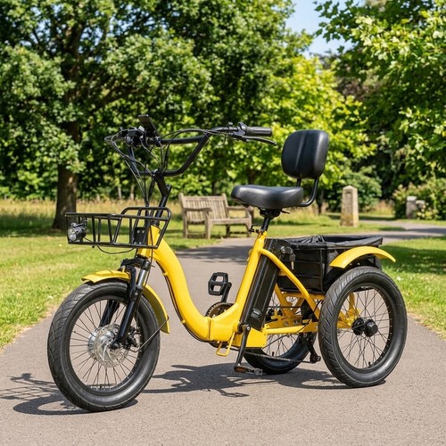 Electric tricycle for - 18'',