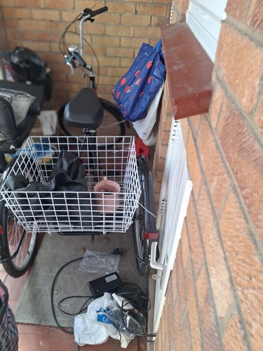 Adult wheeler cycle with a - cycle,