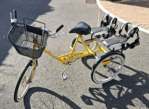 Yellow pashley adult tricycle - yellow,