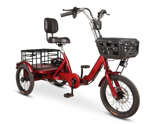 Electric tricycle for - electric,