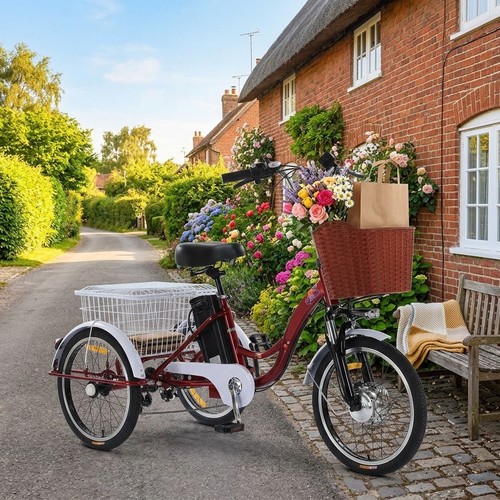 Electric mobility trike - electric,