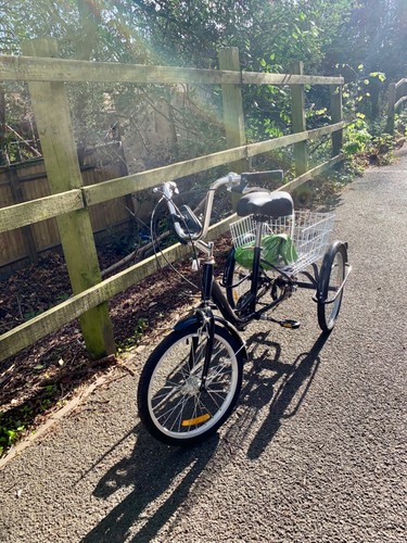 Adult teen tricycle wheel - or,