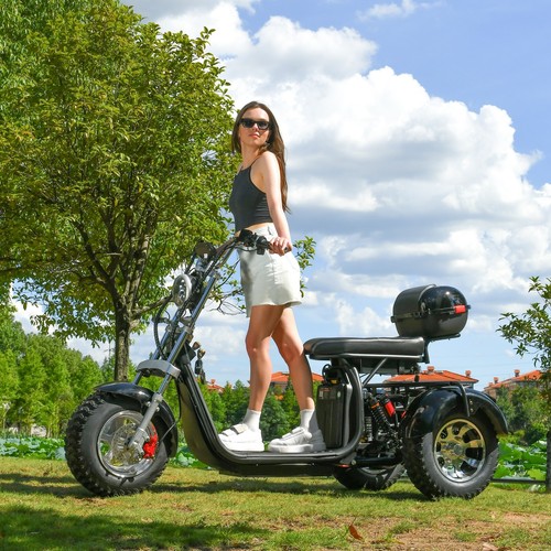 Aldult fat tire scooter - tire, 2000w