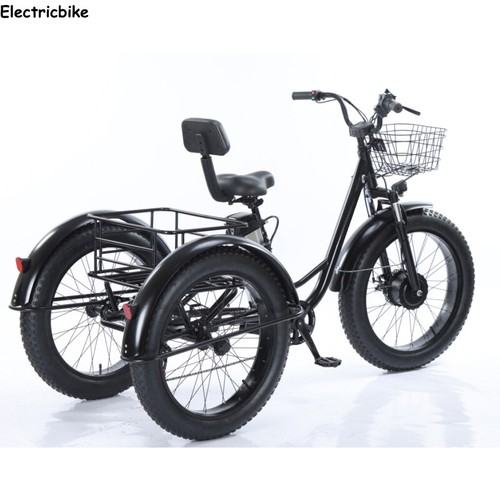 Electric snow trike 48v - electric,
